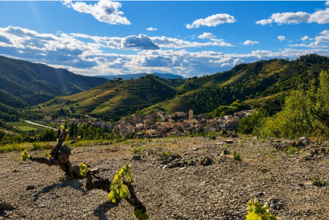 Visita a Viñas, Bodega y Cata de Vino para dos en La Caseta del Priorat (Porrera, Tarragona)