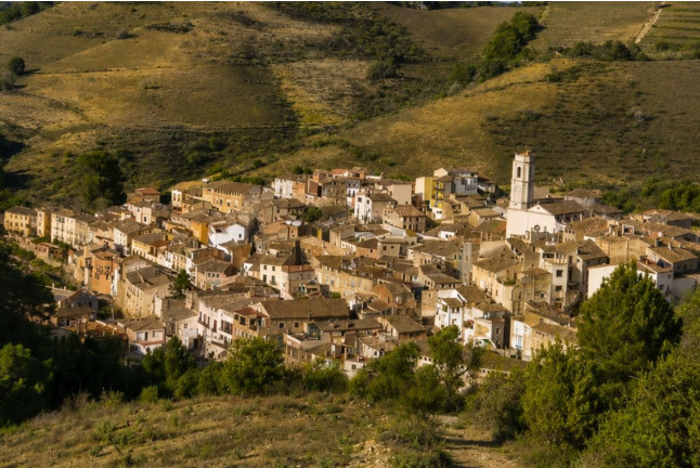 Visita a Viñas, Bodega y Cata de Vino para dos en La Caseta del Priorat (Porrera, Tarragona)