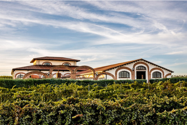 Visita a Bodegas Fariña y Exposición de Pintura con Cata de Vinos y Aperitivo para dos (Casaseca de las Chanas, Zamora)