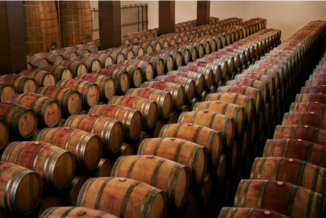 Visita a Bodegas Fariña y Exposición de Pintura con Cata de Vinos y Aperitivo para dos (Casaseca de las Chanas, Zamora)