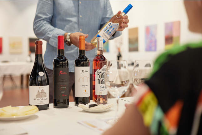 Visita a Bodegas Fariña y Exposición de Pintura con Cata de Vinos y Aperitivo para dos (Casaseca de las Chanas, Zamora)