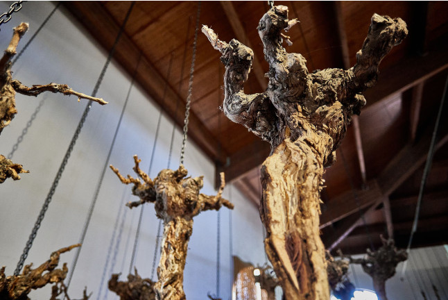 Visita a Bodegas Fariña y Exposición de Pintura con Cata de Vinos y Aperitivo para dos (Casaseca de las Chanas, Zamora)
