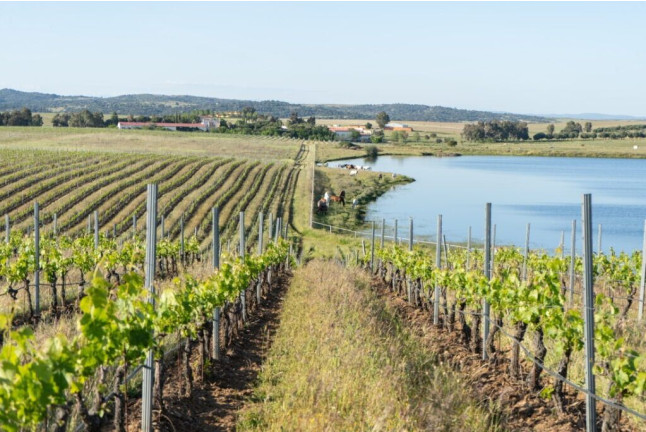 Visita a Bodegas Habla y Cata de Vino (Trujillo, Cáceres)