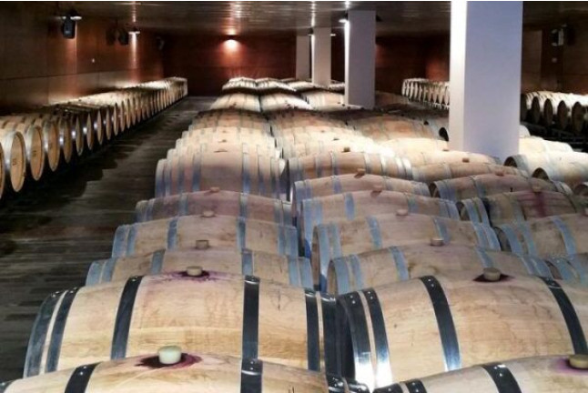 Visita a Bodegas Habla y Cata de Vino (Trujillo, Cáceres)
