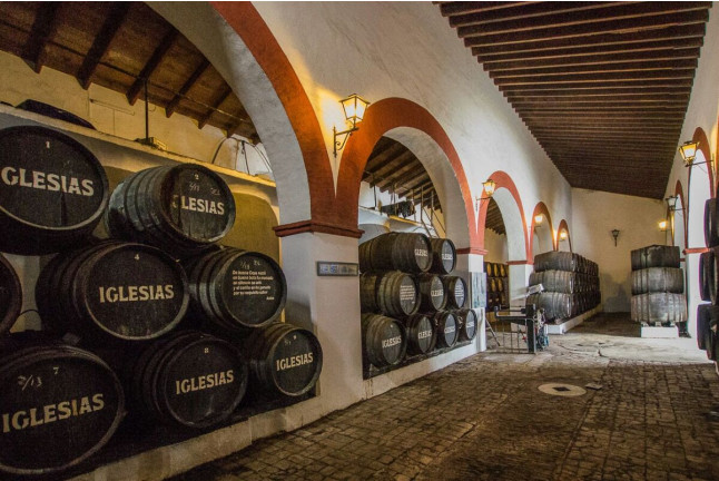 Visita a Bodegas Iglesias, Cata de Vinos y Aperitivo para dos (Bolullos, Huelva)
