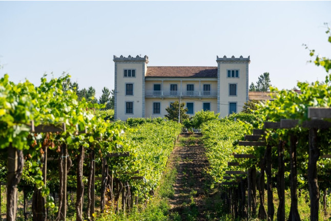 Visita a Bodegas La Val con Cata (A Muguiña, Pontevedra)