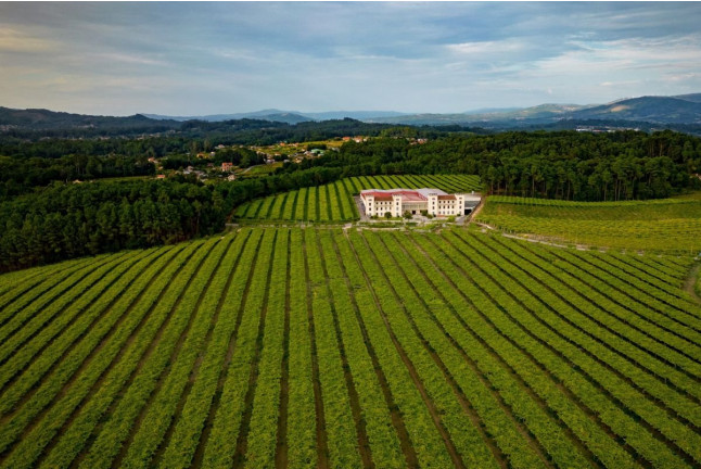 Visita a Bodegas La Val con Cata (A Muguiña, Pontevedra)