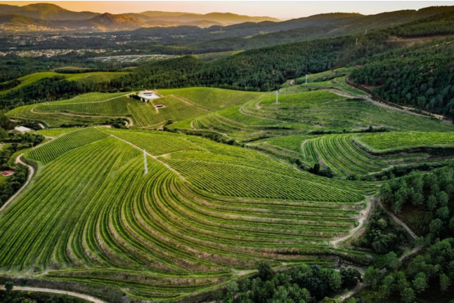 Visita a Bodegas La Val con Cata (A Muguiña, Pontevedra)