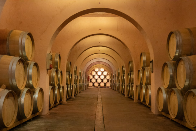 Visita guiada a Bodega Las Virtudes con Cata de Vinos y Aceites con Aperitivo y Degustación de Fondillón (Villena, Alicante)