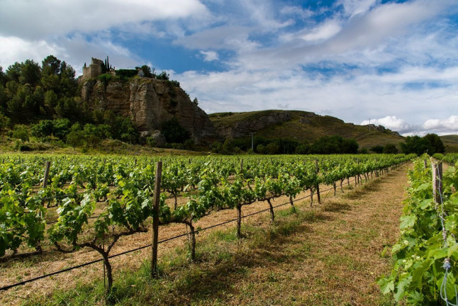 Visita a Bodega y Cata de Vinos para dos en Bodegas Licina (Morata de Tajuña, Madrid)