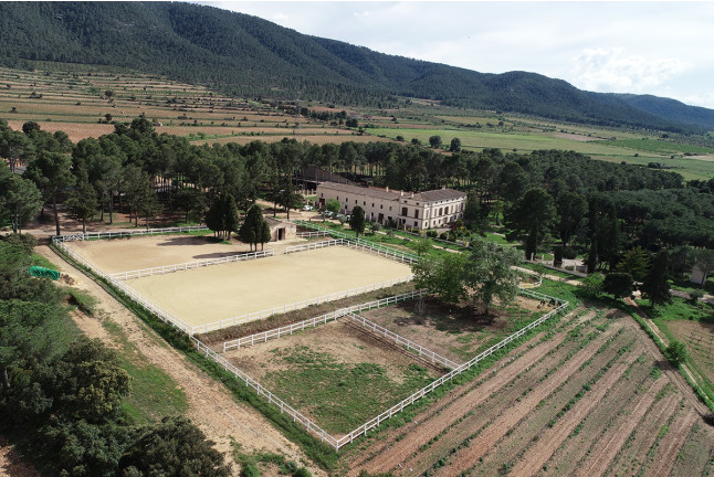 Visita a las Bodegas Los Pinos con Cata y Botella de Vino para dos (Fontanares, Valencia)