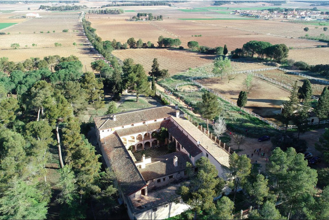 Visita a las Bodegas Los Pinos con Cata y Botella de Vino para dos (Fontanares, Valencia)