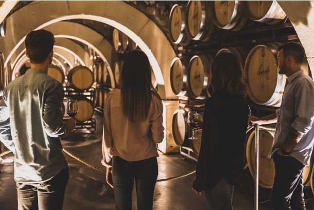 Visita a Bodegas Luzón con Cata de Vinos y Aperitivo para dos (Jumilla, Murcia)