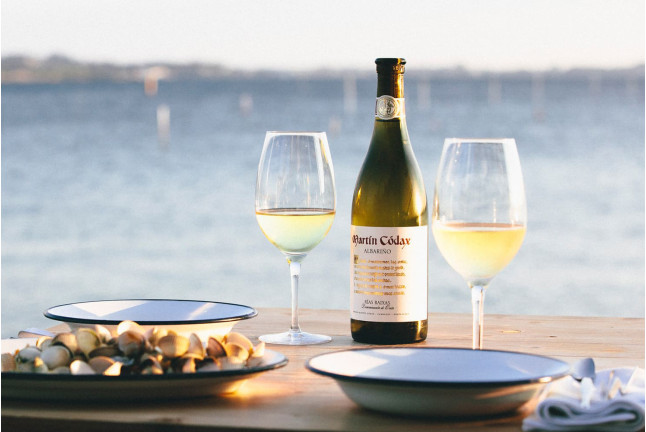 Visita a Bodegas Martín Códax con Cata de Vinos y Circuito Spa con Cena para dos en Hotel 4* (Pontevedra)