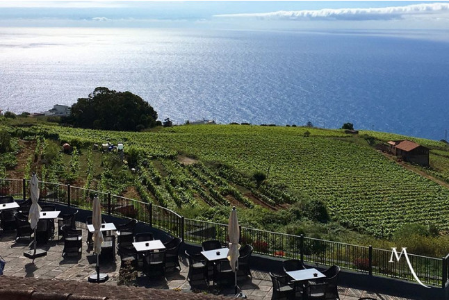 Visita a las Bodegas Monje con Cata y Aperitivo para dos (El Sauzal, Tenerife)