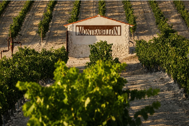Experiencia Matambres: Visita a Bodega y Cata de Vino en Bodegas Monteabellón (Nava de Roa, Burgos)