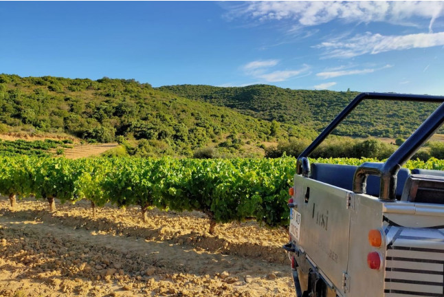 Sed de Aventura: Ruta en 4x4, Visita a Bodega, Cata de Vino y Maridaje para dos en Unsi Wines (Olite, Navarra)