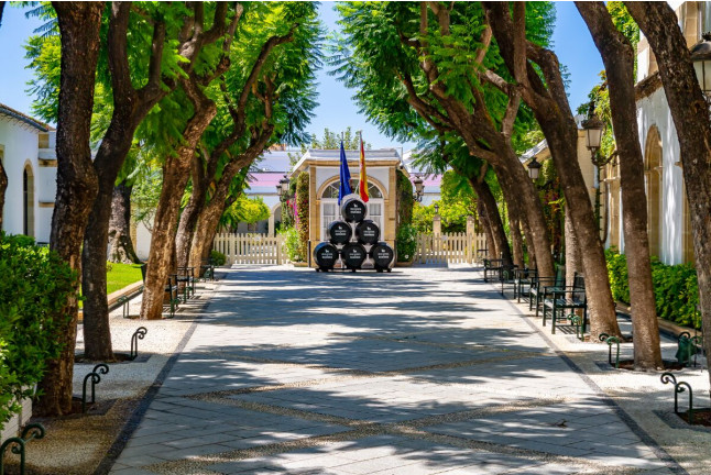 Visita a Bodegas Osborne y Cata de vinos de Jerez para dos (El Puerto de Santa María, Cádiz)