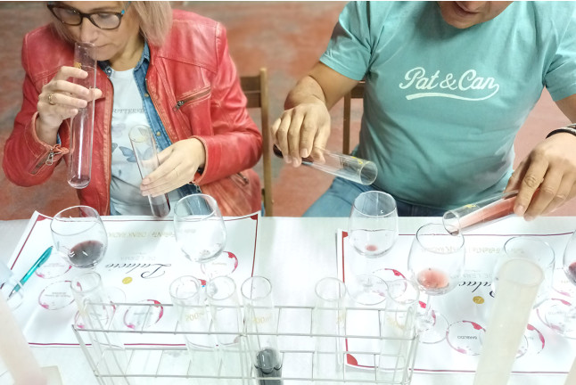 Taller de Diseño de Vinos y Visita a las Bodegas Palacio de Lerma con Cata (Burgos)