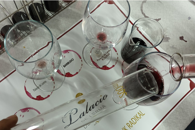Taller de Diseño de Vinos y Visita a las Bodegas Palacio de Lerma con Cata (Burgos)
