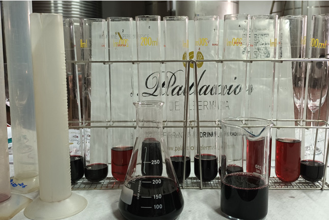Taller de Diseño de Vinos y Visita a las Bodegas Palacio de Lerma con Cata (Burgos)