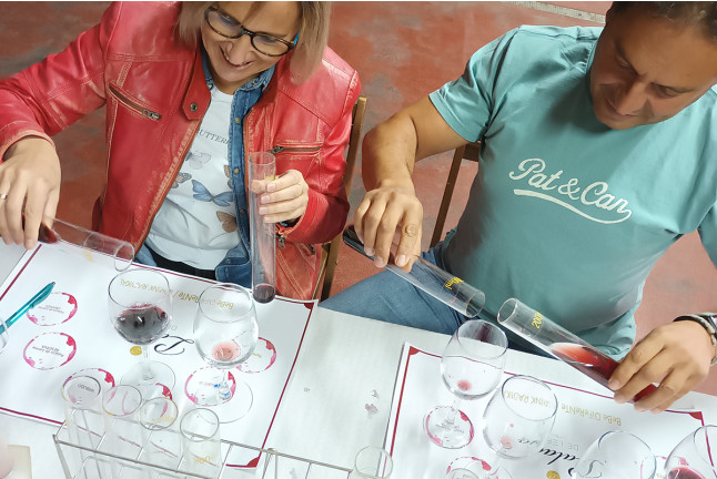 Taller de Diseño de Vinos y Visita a las Bodegas Palacio de Lerma con Cata (Burgos)