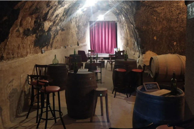 Visita Teatralizada, Degustación de Vino en Jarrillo de Barro y Aperitivo en Bodega La Olmilla (Peñafiel, Valladolid)