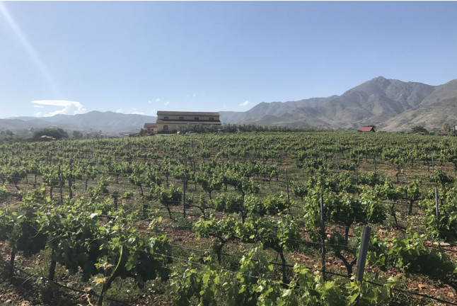 Comida para dos en Bodegas Perfer (Uleila del Campo, Almería)