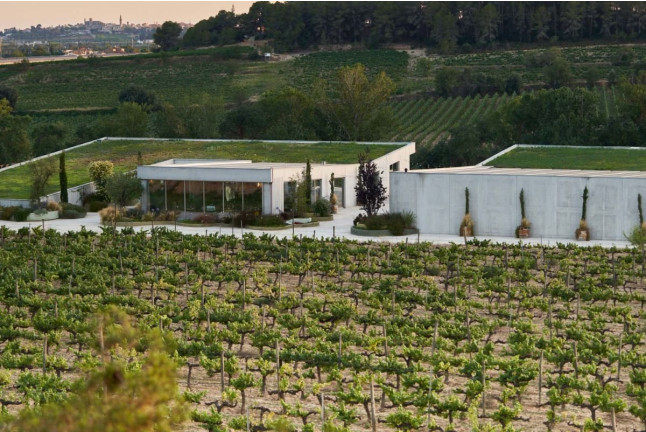 Milfulles 502: Visita a Viñedo y Bodega Pinord Mas Muntanyans con Degustación de 4 Vinos para dos (Les Masuques, Barcelona)