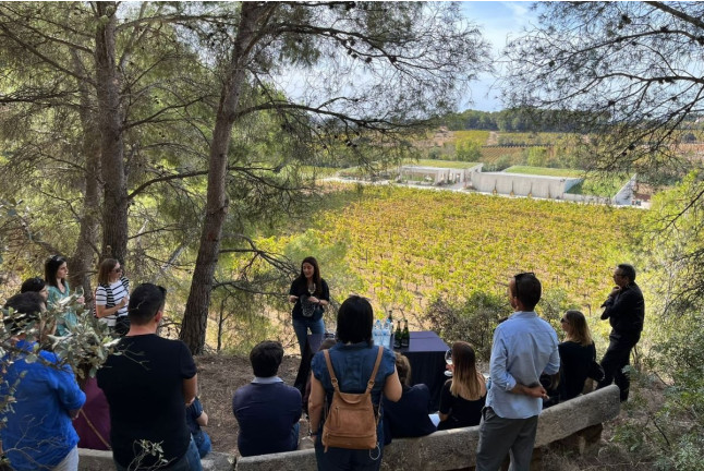 Milfulles 502: Visita a Viñedo y Bodega Pinord Mas Muntanyans con Degustación de 4 Vinos para dos (Les Masuques, Barcelona)