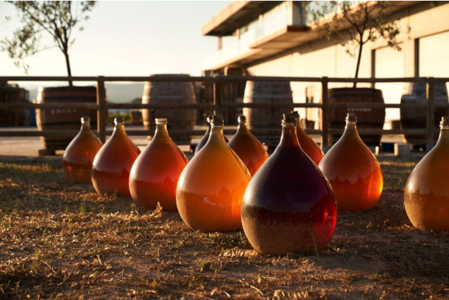 Milfulles 502: Visita a Viñedo y Bodega Pinord Mas Muntanyans con Degustación de 4 Vinos para dos (Les Masuques, Barcelona)