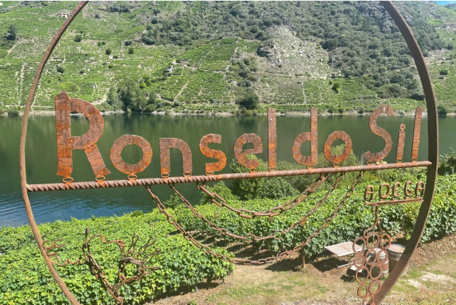 Visita a Bodega, Paseo por las Viñas, Cata de Vino y Tapa en Ronsel Do Sil (Parada do Sil, Ourense)
