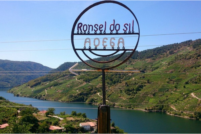 Visita a Bodega, Paseo por las Viñas, Cata de Vino y Tapa en Ronsel Do Sil (Parada do Sil, Ourense)