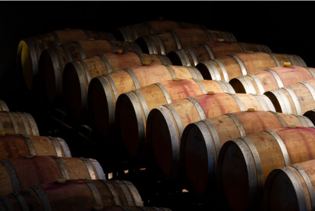 Experiencia "Piensa menos, siente más": Visita y Cata en Bodegas Javier San Pedro Ortega (Laguardia, Álava)