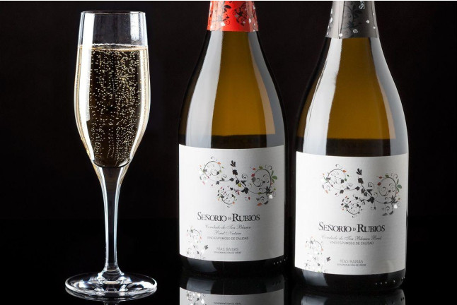 Visita a viñedos y bodegas Señorío de Rubiós con cata de vinos para dos (As Neves, Pontevedra)