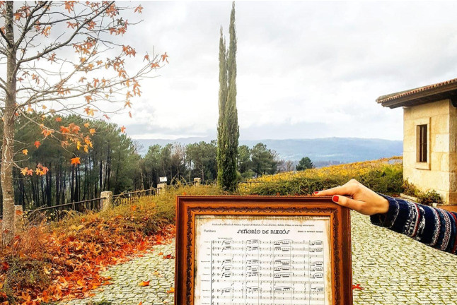 Visita a viñedos y bodegas Señorío de Rubiós con cata de vinos para dos (As Neves, Pontevedra)