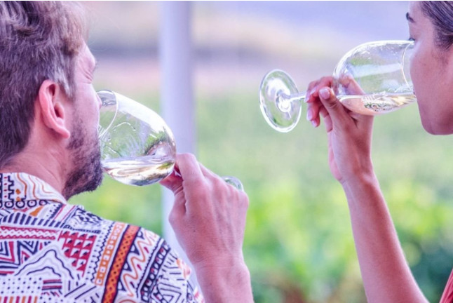 Cata de Vino en Bodega SON PRIM (Sencelles, Mallorca)