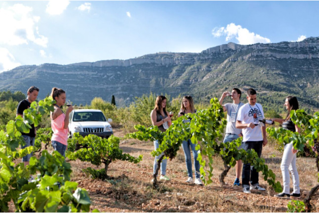Visita a Bodegas en Cellers Baronia del Montsant y Circuito Termal en Spa & Wellness Roca Vermella (Tarragona)