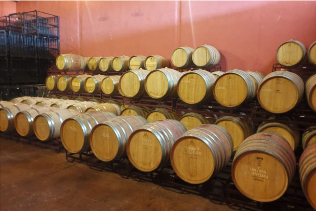Visita a Bodegas y Viñedos Tavera con Cata de Vino para dos (Arcicóllar, Toledo)
