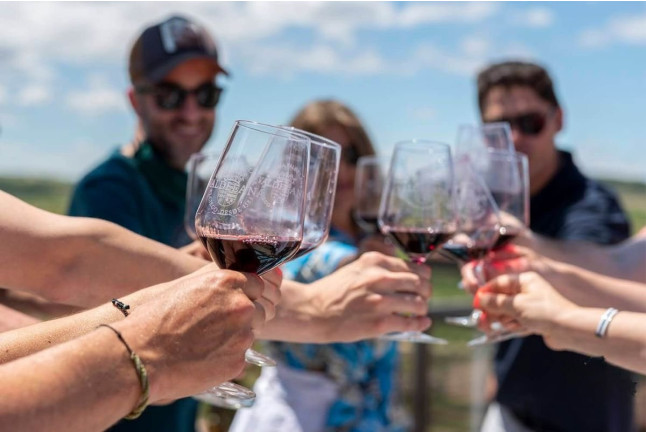 Escapada con Visita Guiada a Bodegas Valdelana y Museo del Vino con Cata de Vino y Aceite para dos (Álava)