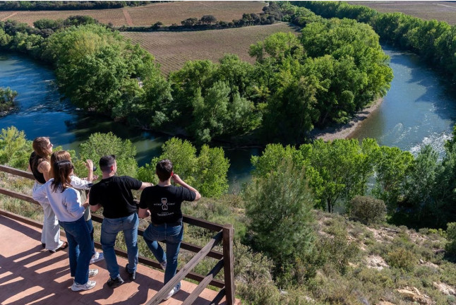 Escapada con Visita Guiada a Bodegas Valdelana y Museo del Vino con Cata de Vino y Aceite para dos (Álava)