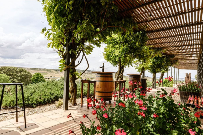 Visita a Bodegas Valdubón, Cata de Vinos y Menú Castellano con Lechazo (Milagros, Burgos)