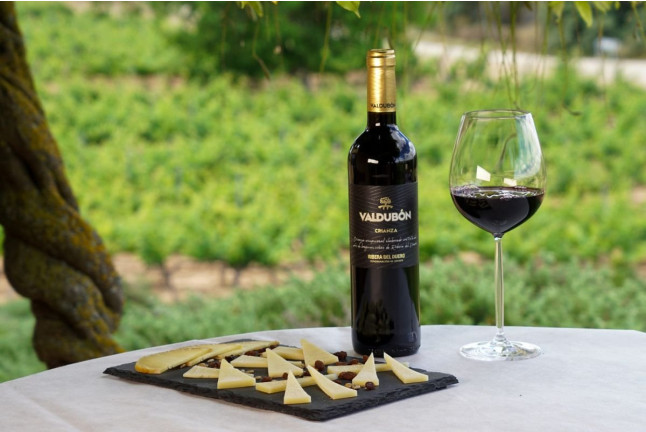 Visita a Bodegas Valdubón y Viñedos con Cata de Vinos y Maridaje para dos (Milagros, Burgos)