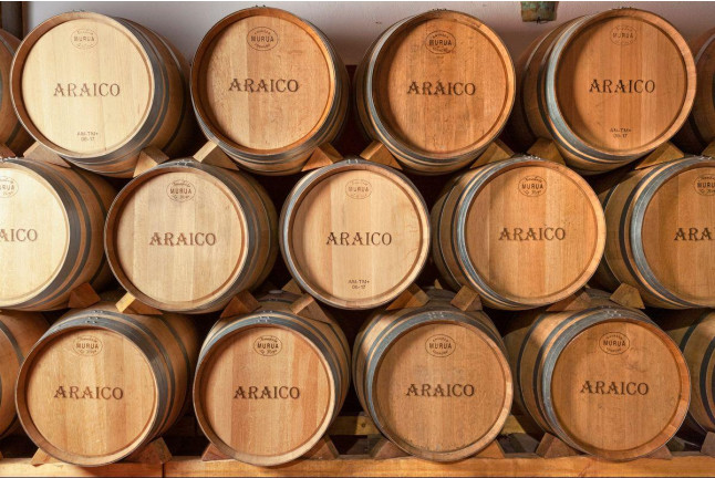 Visita a 2 bodegas con calado del Siglo XIX, cata de 3 vinos y picoteo para dos en Bodegas Araico (Villabuena de Álava, Álava)