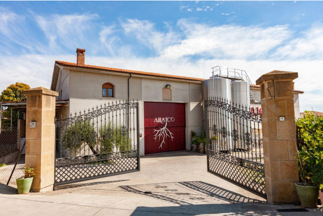 Visita a 2 bodegas con calado del Siglo XIX, cata de 3 vinos y picoteo para dos en Bodegas Araico (Villabuena de Álava, Álava)