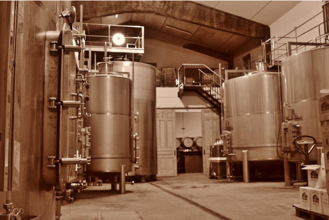 Visita a 2 bodegas con calado del Siglo XIX, cata de 3 vinos y picoteo para dos en Bodegas Araico (Villabuena de Álava, Álava)