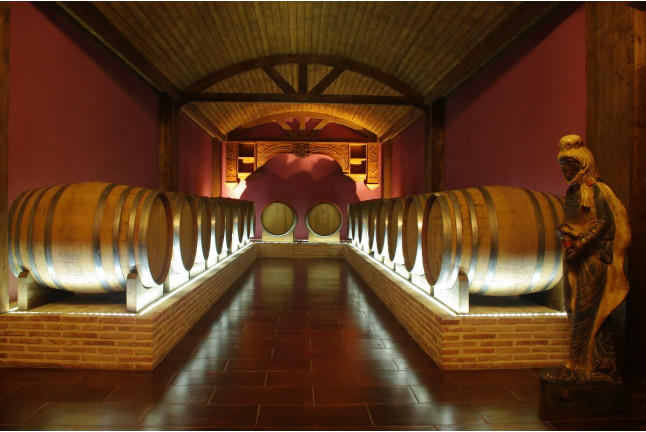Visita a Bodega y Museo del Aceite con Cata de Vinos, Aceite y Embutidos Ibéricos para dos (Villena, Alicante)
