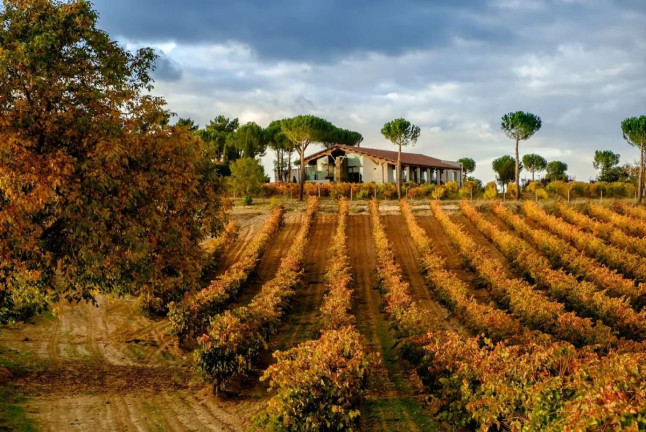 Visita a Bodegas Viña Pedrosa con Cata de Vinos para dos (Pedrosa de Duero, Burgos)