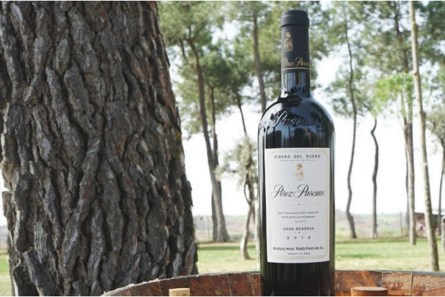 Visita a Bodegas Viña Pedrosa con Cata de Vinos para dos (Pedrosa de Duero, Burgos)