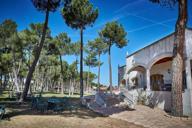 Visita a Bodegas Viña Pedrosa con Cata de Vinos para dos (Pedrosa de Duero, Burgos)